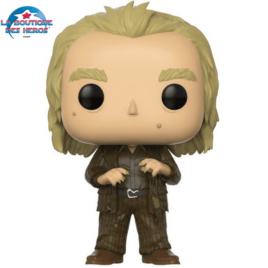 Figurine Pop Peter Pettigrow - Harry Potter